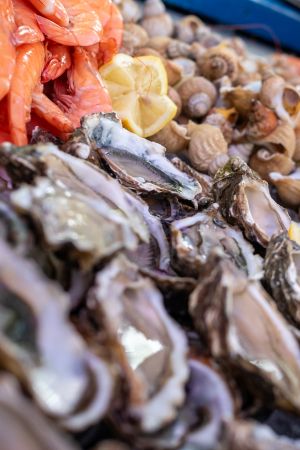 le-sens-des-papilles-663178226d82d