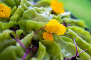 le-sens-des-papilles-66317829700b5