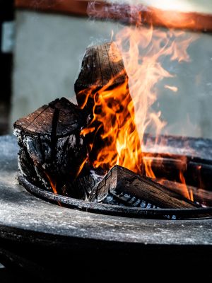 le-sens-des-papilles-6631786be6ddf